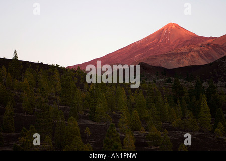 Kanaren Teneriffa Nationalpark de Las Canadas del Teide Blick Auf Pico del Teide Stockfoto