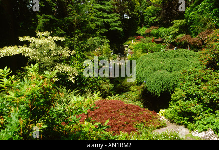 Dorset Poole Compton Acres den japanischen Garten Stockfoto