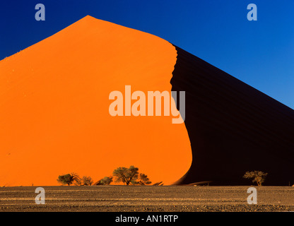 Düne 45 Bei "Sonnenaufgang" Tsauchab Tal Namib Naukluft Park Namibia Afrika Düne 45 bei Sonnenaufgang Tsauchab-Tal Namib-Naukluft-Park Stockfoto