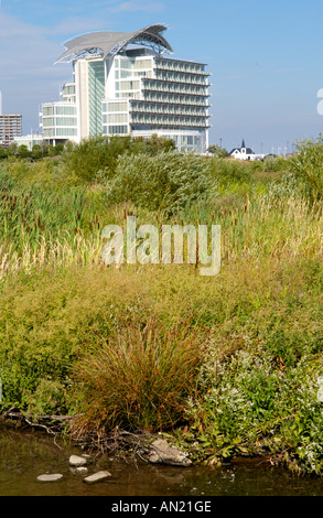 Cardiff Bay Wetlands Reserve übersehen von St Davids Hotel South Wales UK Stockfoto