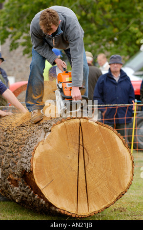 Demonstration der Verwendung einer Kettensäge eine große Log bei einer Landwirtschaftsausstellung in der Nähe von Hay on Wye Powys Wales UK halbieren Stockfoto