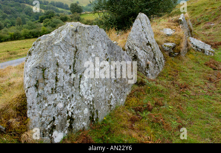 Alte Steinplatte Wand- und Trackway in Gilfach Nature Reserve Site of Special Scientific Interest in der Nähe von Rhayader Powys-Mid-Wales Stockfoto