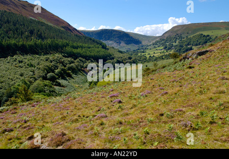 Panoramablick über Gilfach Nature Reserve Site of Special Scientific Interest in der Nähe von Rhayader Powys Mid Wales UK Stockfoto