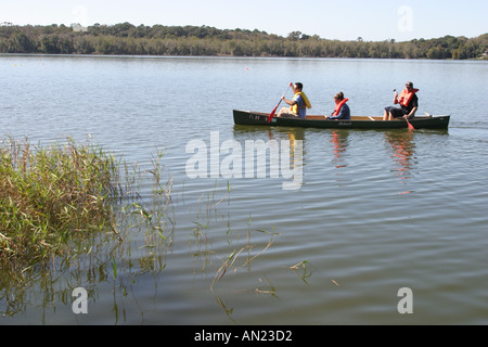 Florida Paynes Prearge State Preserve, aves, Vogel, Natur, Natur, Tierbeobachtung, Wanderwege, Wandern, Lake Wauberg, Bootfahren, Angeln, Sport, Sportler, Erholung, w Stockfoto