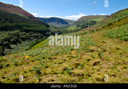 Panoramablick über Gilfach Nature Reserve Site of Special Scientific Interest in der Nähe von Rhayader Powys Mid Wales UK Stockfoto