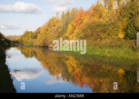 Sheffield und Tinsley Grachten am Carbrook jetzt eine Freizeit-Einrichtung und Naturschutzgebiet Stockfoto