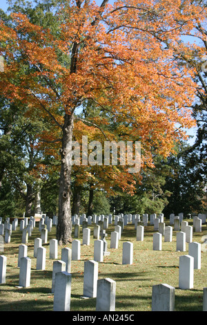 Raleigh North Carolina, Oakwood Friedhof, Grabstätte, Tod, 2,800+ konföderierte Soldatengräber, Vogel, Bürgerkrieg, Union, Blau, Grau, Veteranen, Besucher reisen Stockfoto