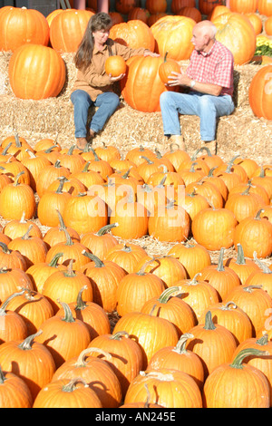 Raleigh North Carolina, State Farmers Market, Farmers's, Farmers', produzieren, Obst, Gemüse, Gemüse, Lebensmittel, Produkte, Verkäufer Verkäufer Verkäufer, Stallstände Boot Stockfoto