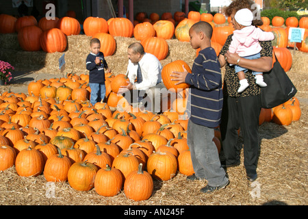 Raleigh North Carolina, State Farmers Market, Farmers's, Farmers', Obst, Gemüse, Gemüse, Lebensmittel, Produkte, Stände Stand Verkäufer Verkäufer, Tradition, mar Stockfoto