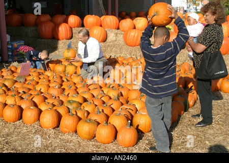 Raleigh North Carolina, State Farmers Market, Farmers's, Farmers', Obst, Gemüse, Gemüse, Lebensmittel, Produkte, Stände Stand Verkäufer Verkäufer, Tradition, mar Stockfoto