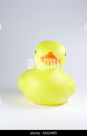 Gelbe Ente auf weißem Hintergrund Stockfoto