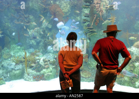 Albuquerque New Mexico, Biological Park, Aquarium, 285,000 Gallonen Hai Tank, NM091603 W0015 Stockfoto