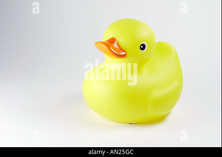 Gelbe Ente auf weißem Hintergrund Stockfoto