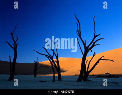 Silhouetten von Toten Camelthorn Bäume Akazie Erioloba im Deadvlei Namib Wüste Namib Naukluft Park Namibia Afrika Stockfoto