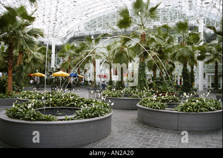 NAVY PIER Palmen Chicago Illinois Kristallgarten indoor Garten Brunnen