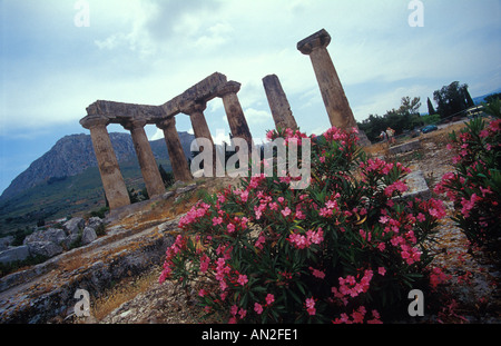 Dorischer Tempel des Apollo in der antike Korinth (Griechenland) Stockfoto