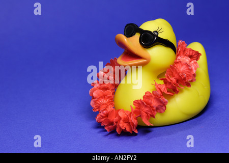 15 Jahre alte Ente, die ich auf dem Dachboden gefunden. Nach der allgemeinen Reinigung habe ich dieses schöne Fotos Stockfoto