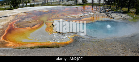 Geothermische Geysir-Becken mit Farbe Stockfoto