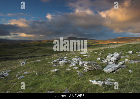 Kalkstein in Yorkshire, die Dales moor mit Pen-y-Gent in der Backgound ausgesetzt Stockfoto