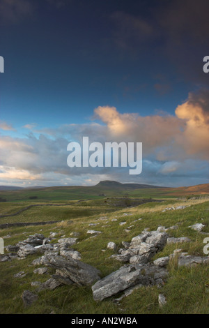 Kalkstein in Yorkshire, die Dales moor mit Pen-y-Gent in der Backgound ausgesetzt Stockfoto