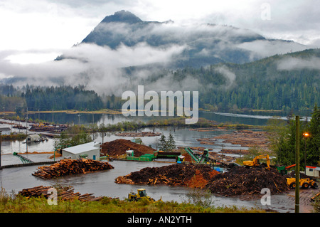 Holz-Werften an Telegraph Cove Vancouver Island, British Columbia. Kanada.  BCX 0229. Stockfoto