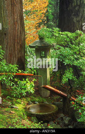 Der japanische Garten in Portland Oregon unter gigantischen Sequoia Bäumen Stockfoto