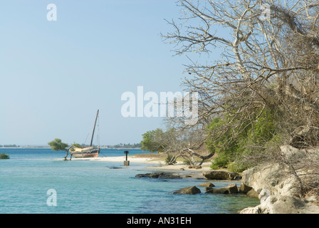 Eine Dhau, ruht auf einer kleinen Strecke von Sand bei Ebbe in einer kleinen Bucht in der Nähe von Nacala, Mosambik. Stockfoto