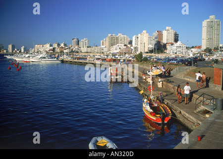 Blick auf Marina in Punta del Este in Uruguay Stockfoto