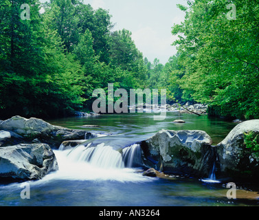 South Fork des Little Pigeon River in Tennessee USA Stockfoto