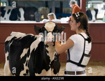 4H Livestock Show in Dutchess County Fair in Rhinebeck NY Stockfoto