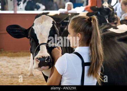 4H Livestock Show in Dutchess County Fair in Rhinebeck NY Stockfoto