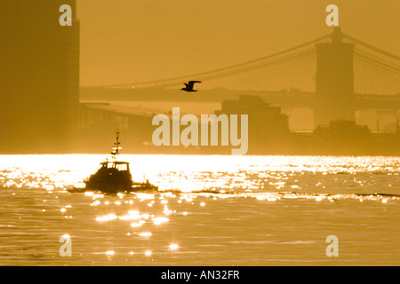 Ein Boot ein Vogel und die Brooklyn Bridge bei einem Sonnenaufgang über die Bucht von New York zu sehen Stockfoto