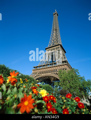 Eiffelturm (Tour Eiffel) mit Frühlingsblumen, Paris, Frankreich Stockfoto