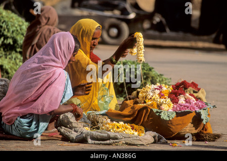 Udaipur Straßenverkäufer vor Jagdish Tempel, Indien Stockfoto