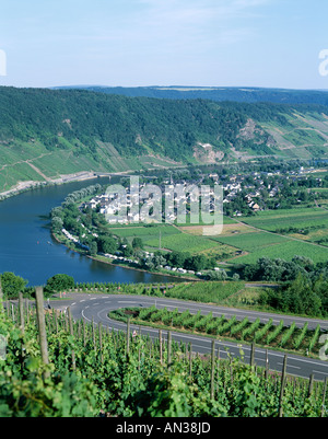 Mosel River & Weinberge, Krow, Rheinland / Moseltal, Deutschland Stockfoto