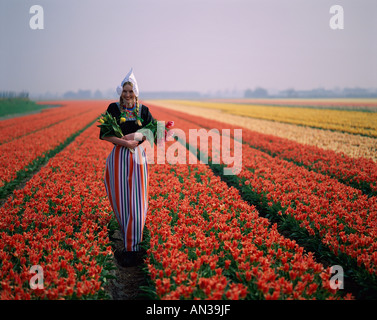 Blumenfelder / Mädchen gekleidet in niederländischen Kostüm im Tulip Felder, Lisse, Holland (Niederlande) Stockfoto