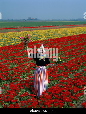 Blumenfelder / Mädchen gekleidet in niederländischen Kostüm im Tulip Felder, Lisse, Niederlande Stockfoto