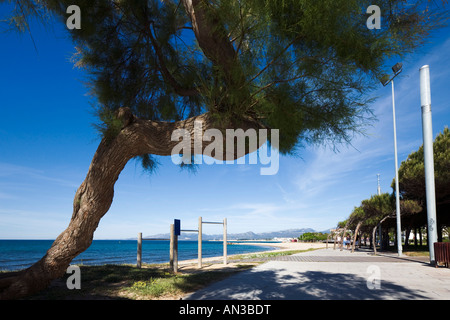 Strandpromenade, Cambrils, in der Nähe von Salou, Costa Dorada, Spanien Stockfoto