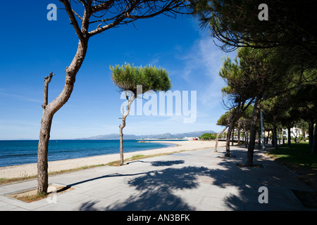 Strandpromenade, Cambrils, in der Nähe von Salou, Costa Dorada, Spanien Stockfoto