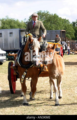 Ein Pferd und Wagen bei Uffington Whitehorse Land zeigen. Stockfoto