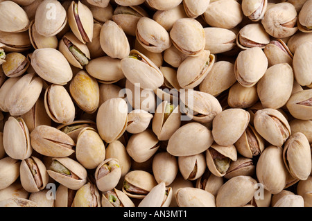 Die Pistazie, Pistacia Vera, ein Mitglied der Cashew-Familie eine beliebte Nuss Stockfoto