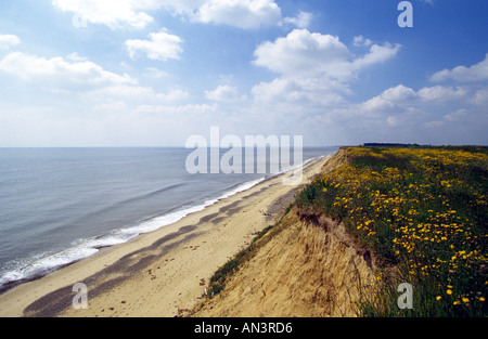 Auswirkungen der Küstenerosion, Covehithe, Suffolk, UK. Stockfoto