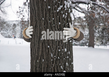 Frau Baum im Winter Park umarmt Stockfoto