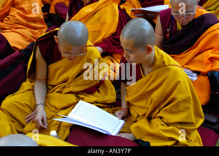 Mönche und Lamas im 2006 Kagyü Mönlam, Bodh Gaya, Indien Stockfoto