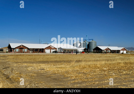 Jedem Ranch in jedem Tal in der Nähe von Cuahtemoc, Bundesstaat Chihuahua, Mexiko Stockfoto