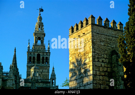 El Alcazar. Sevilla. Spanien Stockfoto