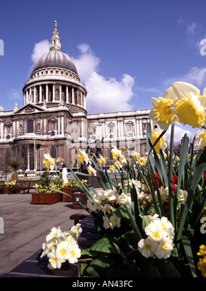 Stadt von London St Pauls Kathedrale im Frühling Stockfoto