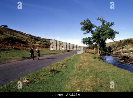 Deepdale südlich von Hawes in den Yorkshire Dales National Park 2 zwei Wanderer auf einer Strecke neben dem Fluß Wharfe Stockfoto