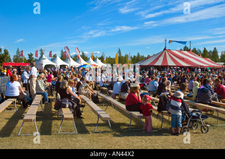 Massen auf einem Festival im Sommer Stockfoto