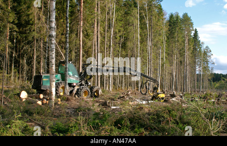 Taigawald, der von einem grünen John Deere Timberjack-Waldernter am Waldrand in Summer, Finnland, gefällt wurde Stockfoto